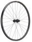 Preview: NEWMEN Phase 30 Strong Enduro 29" 12 x 148mm 6-Loch Shimano Micro Spline Laufrad hinten