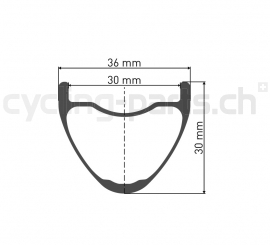 DT Swiss XMC 1200 SPLINE® 30 29" 12 x 148mm Laufrad hinten