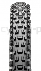 Maxxis Assegai TR, 2x60 TPI, DH Casing, 3C Maxx Grip Wide Trail 29x2.5 Reifen