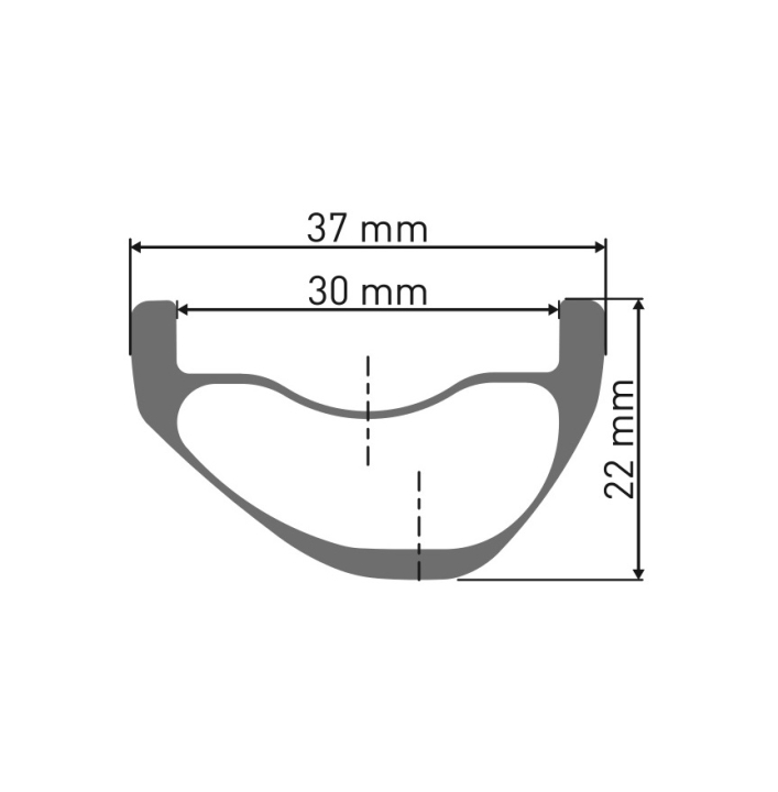 DT Swiss EXC 1200 Classic 30 29" 15 x 110mm Centerlock Laufrad vorne