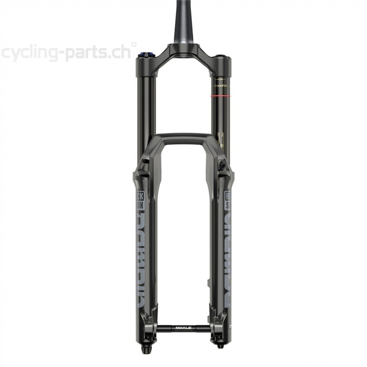 Rock Shox Domain RC Debon Air 160mm 29"/44mm Off-Set/15x110mm gloss black