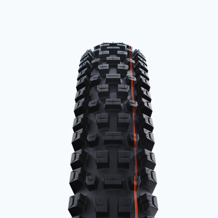 Schwalbe Albert Radial Trail Pro Addix Soft TLR E-50 29x2.50 Reifen